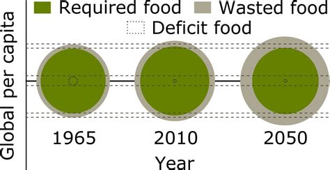 Explainer: What Is Food Surplus? | Earth.Org