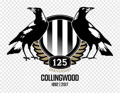 2018 Collingwood Football Club season Westpac Centre 2017 AFL season ...