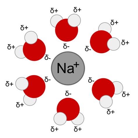 ions - Behavior of NaCl in water with electrodes - Chemistry Stack Exchange