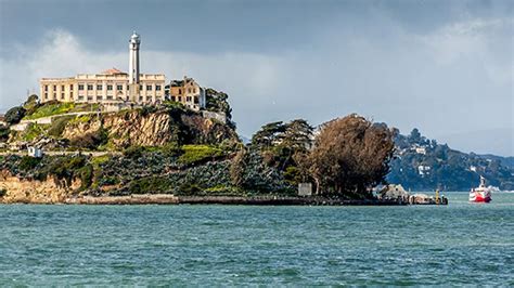 Your Alcatraz questions answered - LIVE LOVE AND CARE