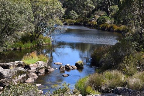 Barrington Tops National Park - Roaming The Outback