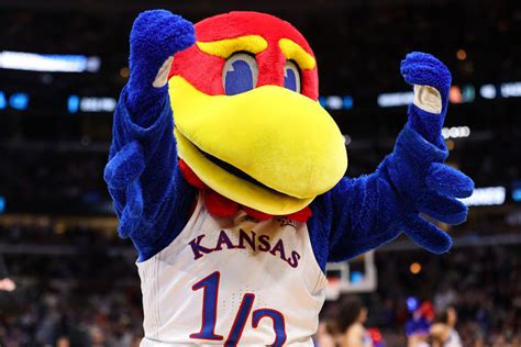 NCAA Tournament: Why Is Kansas Called the Jayhawks? - Sportscasting ...