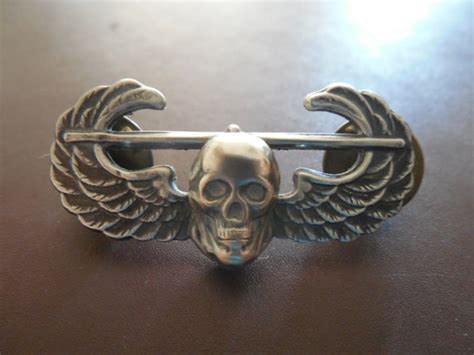 Air Assault Skull Wing Badge Insignia Military 101st Airborne | Etsy