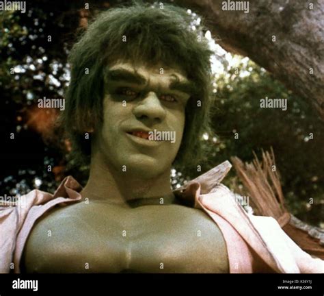 THE INCREDIBLE HULK LOU FERRIGNO as the Hulk THE INCREDIBLE HULK Stock ...