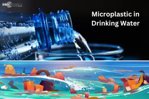 Microplastics in Drinking Water: Causes and Prevention Overview - Intec ...