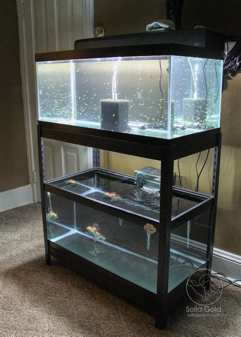 Aquarium Stand For 60 Gallon Tank at Teresa Her blog