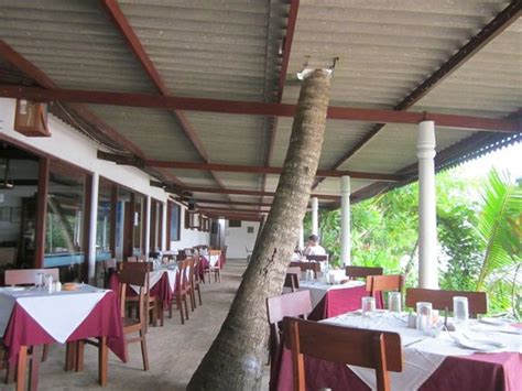 PARADISE BEACH CLUB RESTAURANT, Mirissa - Restaurant Reviews, Photos ...