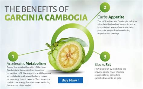 Garcinia Cambogia Extra Review - Diet Pills with Garcinia and Raspberry