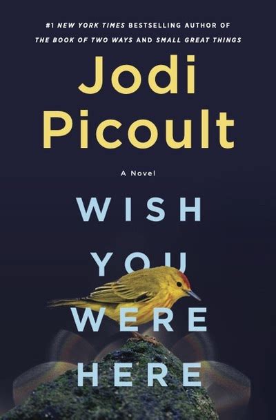 Jodi Picoult · The Book Of Two Ways (2020), 60% OFF