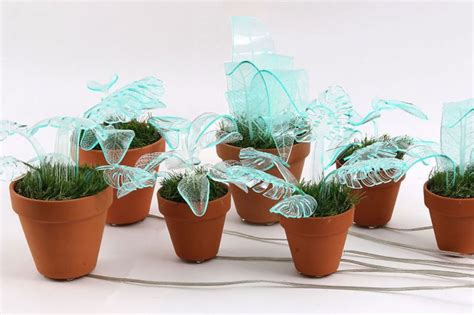 These glow-in-the-dark plants will abandon your love affair with night ...