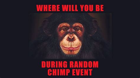 Random Chimp Event | Know Your Meme