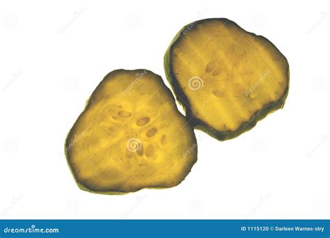 Pickle Slices stock photo. Image of slice, cucmber, pickle - 1115120