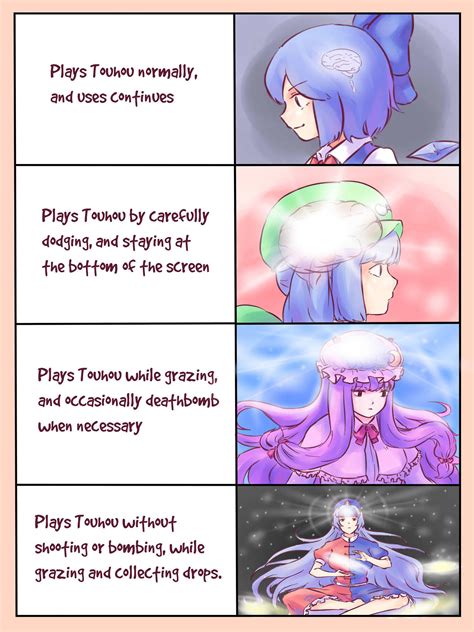 4 Types of Touhou Players | Touhou Project (東方Project) | Know Your Meme