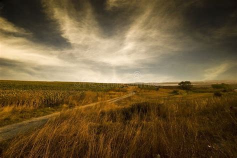 Empty Field stock image. Image of field, season, dramatic - 5728689