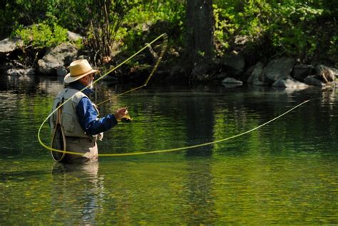 Fly Fishing Techniques