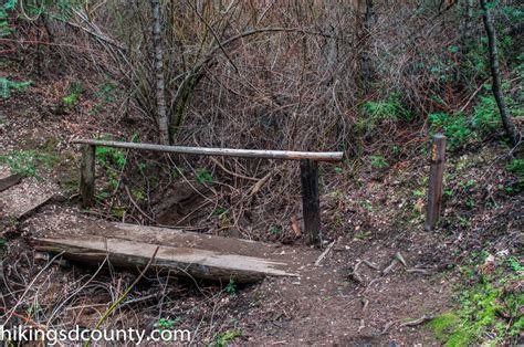 Doane Valley Nature Trail (Palomar Mountain State Park) - Hiking San ...