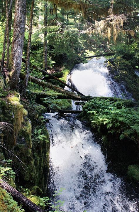 Mt Hood National Forest//Oregon | Scenic waterfall, Waterfall ...