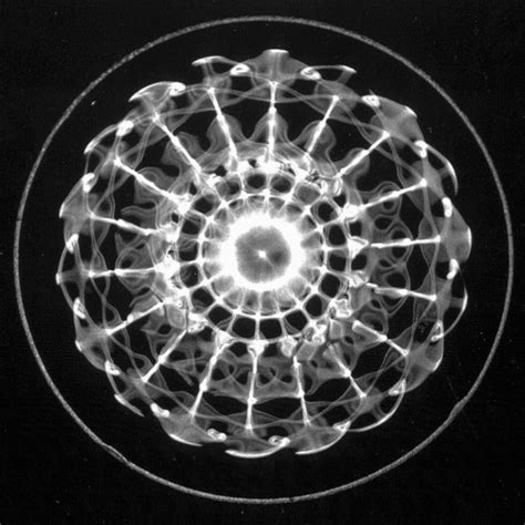 Cymatics Bringing matter to life with sound — DOP