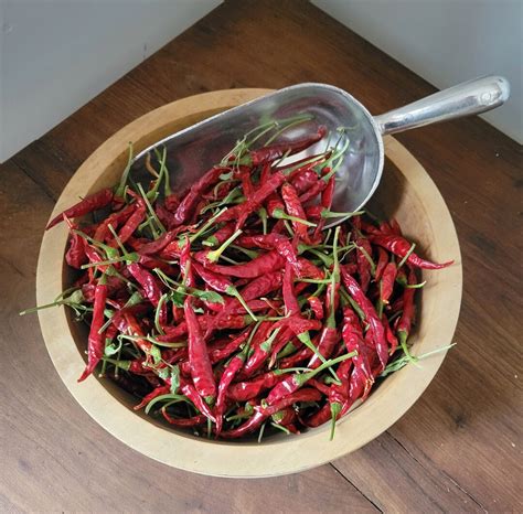 Whole Dried Chili Peppers Heirloom Hot Peppers - Etsy