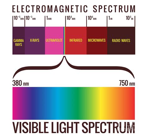 Electromagnetic Spectrum Chart Reference Science Physics Visible Light ...