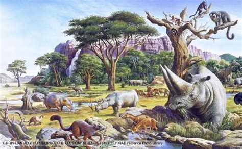 Various mammal species that existed during the Paleocene and Eocene ...