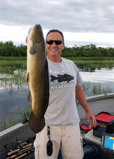 Freshwater Dogfish With Legs