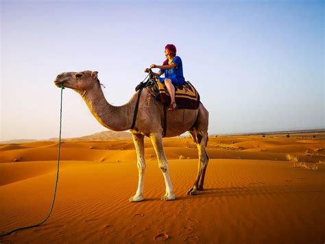 Camel-ride-in-the-Sahara-in-Morocco – The Globetrotting Detective