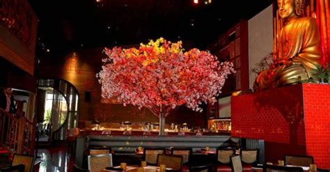 Blackbird Modern Asian opens in Jupiter: Q&A with dream team behind new ...