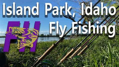 Island Park, Idaho. Big Rainbow Trout Fly Fishing. - YouTube