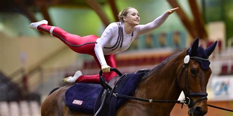 Forms | Equestrian Vaulting USA