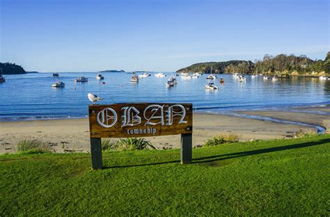 Halfmoon Bay and Oban, Stewart Island - See the South Island NZ Travel Blog