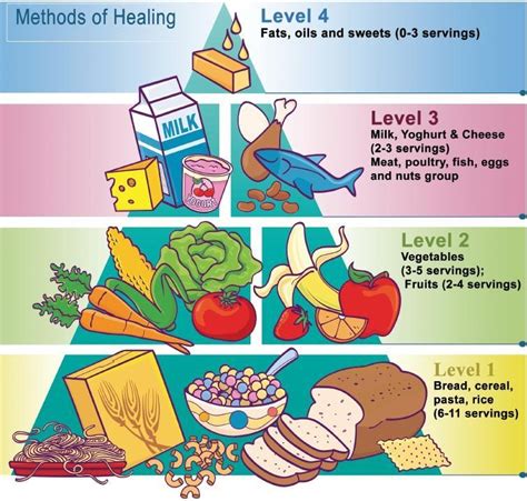 The USDA Food Pyramid (The Original Diet Scam) - GLL Lifestyle