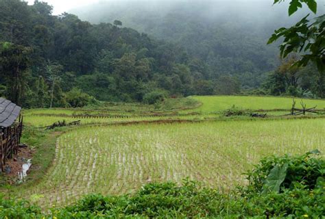 Photo Gallery of Coorg Hill Station- Explore Coorg Hill Station with ...