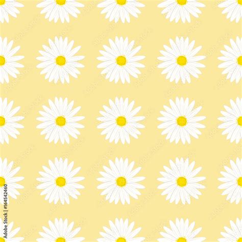 Seamless floral pattern. Background in small white daisy flowers on a ...