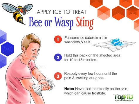 How to Treat a Bee or Wasp Sting | Top 10 Home Remedies | Wasp stings ...