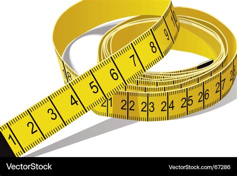 Tape measure Royalty Free Vector Image - VectorStock