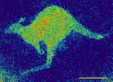 Scientists have developed a new tool for imaging life at the nanoscale