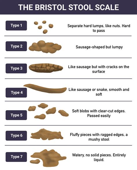 What Does Diabetic Poop Look Like - AnimalsPick