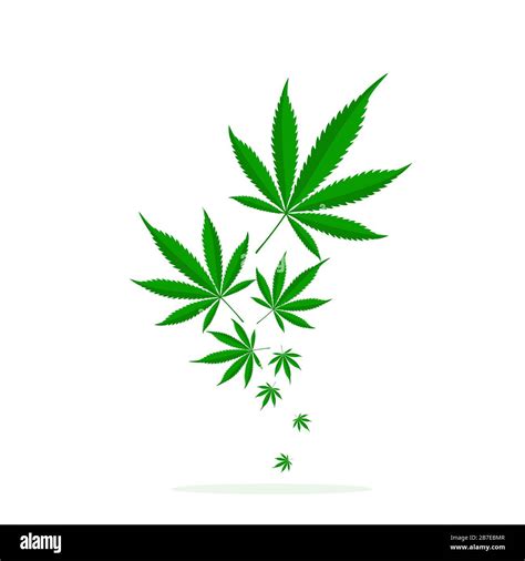 Falling green leaves of Cannabis. Vector cannabis leaf logo. Medical ...