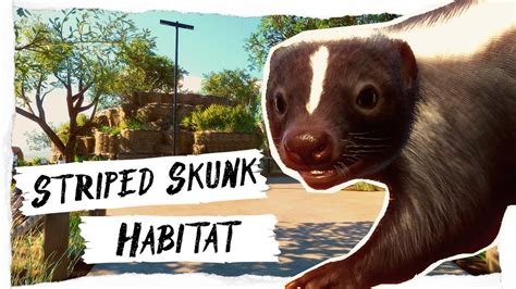 Striped Skunk Habitat || Speedbuild || Planet Zoo Sandbox - YouTube