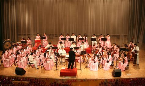 Traditional Chinese Folk Music Concert - Music