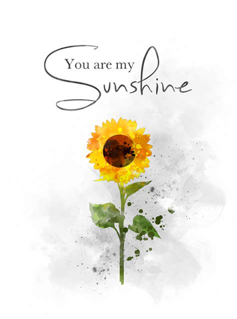 You Are My Sunshine Sunflower Wallpaper