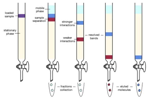 Thin Layer Chromatography: A Complete Guide to TLC