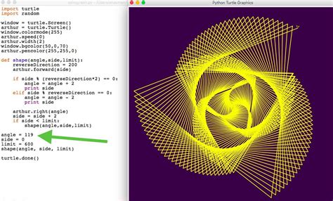 Python Turtle: LogoTurtle: | Python turtle, Basic computer programming ...