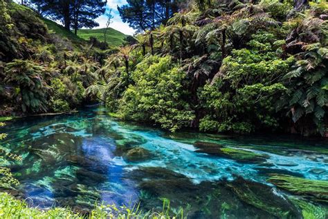 new zealand spring - Google Search | New zealand, Outdoor, Water