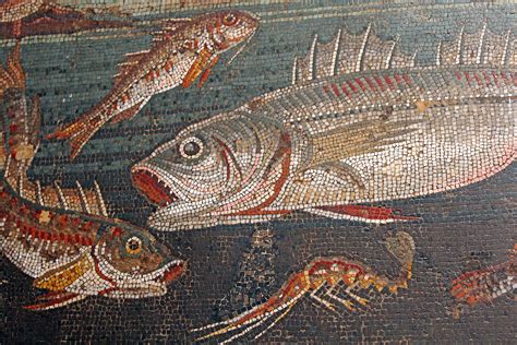 Fish Mosaic , National Archaeological Museum, Naples | Flickr