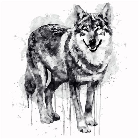 Black And White Wolf Art - Diysish