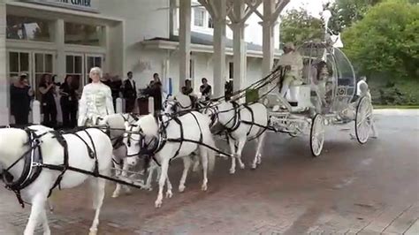 Wedding Horse Carriage