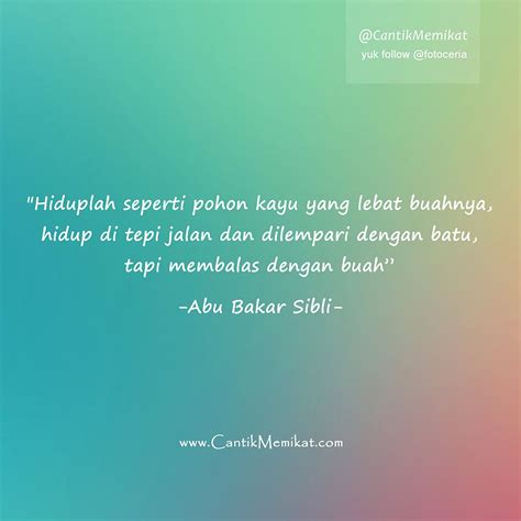 #Quote‬ #Motivasi by Abu Bakar Sibli | Motivasi, Kata-kata, Bijak