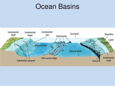 PPT - Shoreline & Seafloor Features PowerPoint Presentation, free ...